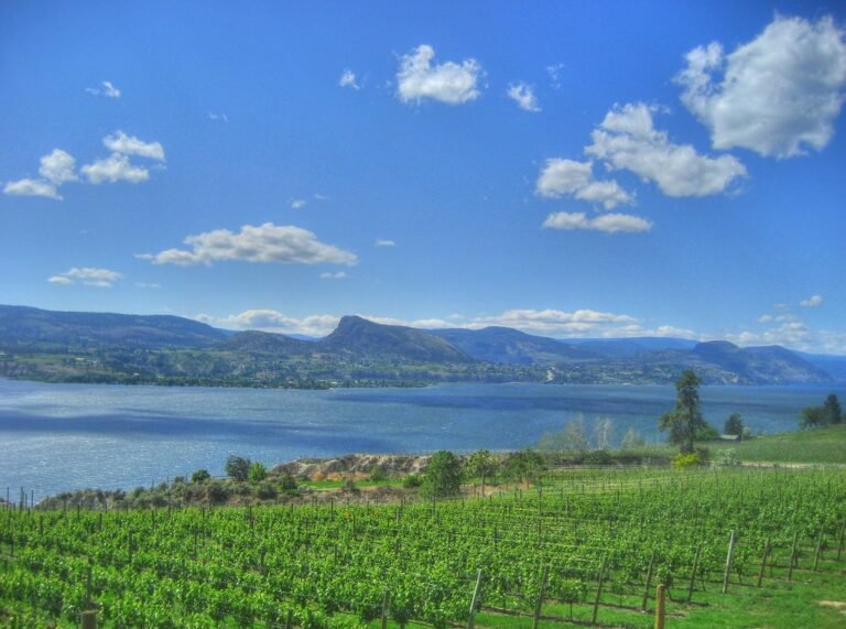 Follow the Naramata Road to Wineries Off the Beaten Path