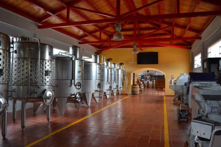 wine, production, winery-664818.jpg